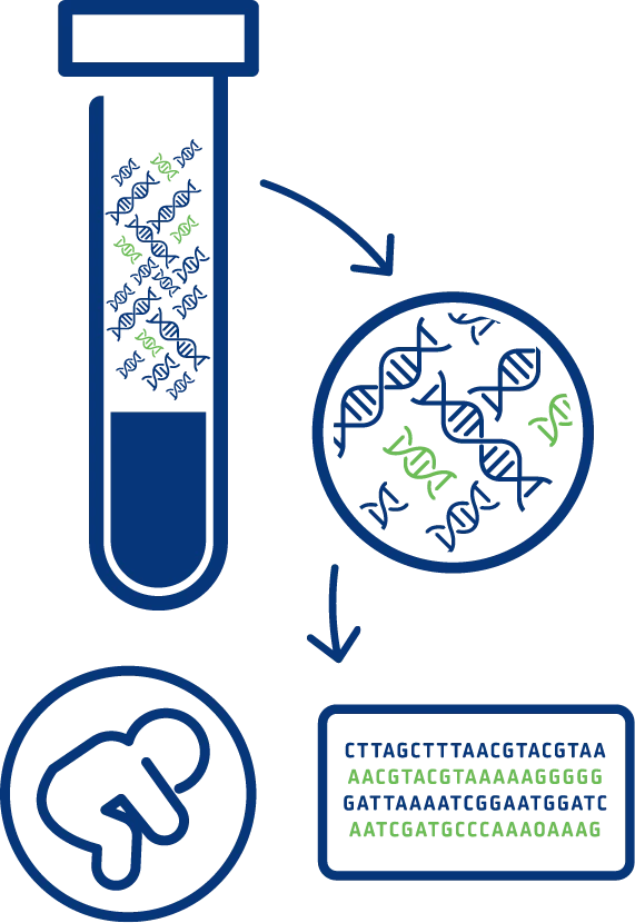 CfDNA Tube